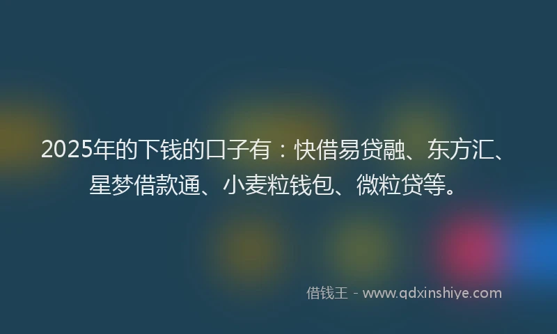 2025年的下钱的口子有：快借易贷融、东方汇、星梦借款通、小麦粒钱包、微粒贷等。