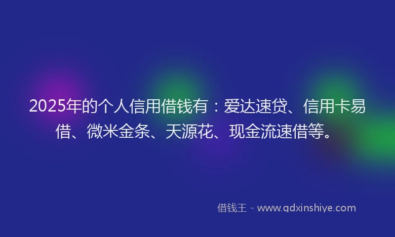 2025年的个人信用借钱有：爱达速贷、信用卡易借、微米金条、天源花、现金流速借等。