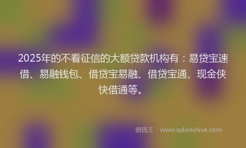 2025年的不看征信的大额贷款机构有：易贷宝速借、易融钱包、借贷宝易融、借贷宝通、现金侠快借通等。