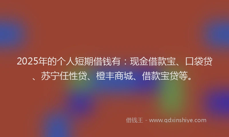 2025年的个人短期借钱有：现金借款宝、口袋贷、苏宁任性贷、橙丰商城、借款宝贷等。