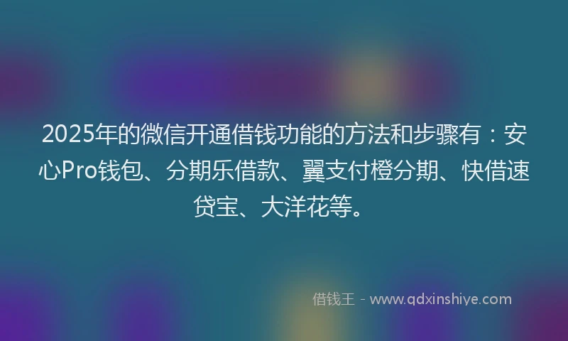 2025年的微信开通借钱功能的方法和步骤有：安心Pro钱包、分期乐借款、翼支付橙分期、快借速贷宝、大洋花等。