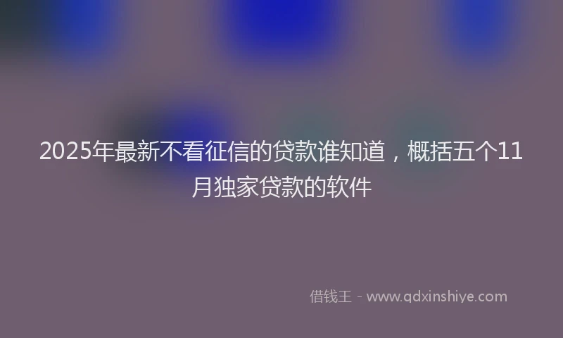 2025年最新不看征信的贷款谁知道，概括五个11月独家贷款的软件