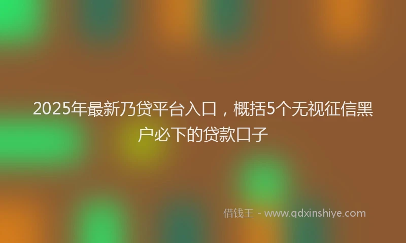 2025年最新乃贷平台入口，概括5个无视征信黑户必下的贷款口子