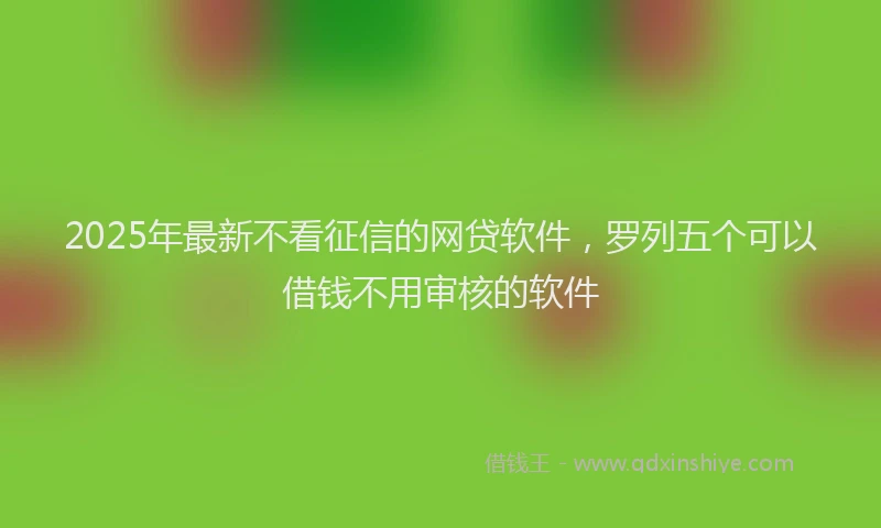 2025年最新不看征信的网贷软件，罗列五个可以借钱不用审核的软件