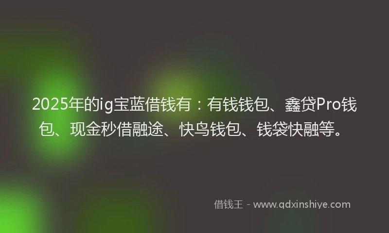 2025年的ig宝蓝借钱有：有钱钱包、鑫贷Pro钱包、现金秒借融途、快鸟钱包、钱袋快融等。