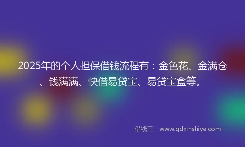 2025年的个人担保借钱流程有：金色花、金满仓、钱满满、快借易贷宝、易贷宝盒等。