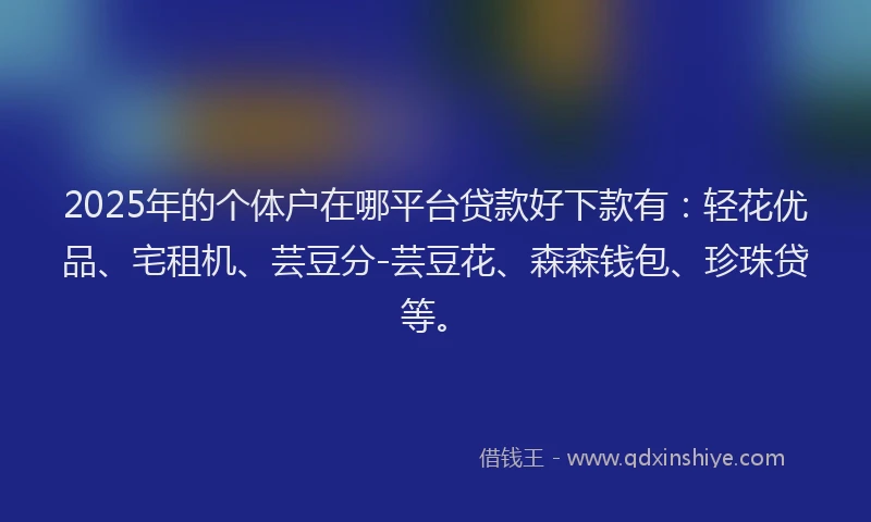 2025年的个体户在哪平台贷款好下款有：轻花优品、宅租机、芸豆分-芸豆花、森森钱包、珍珠贷等。
