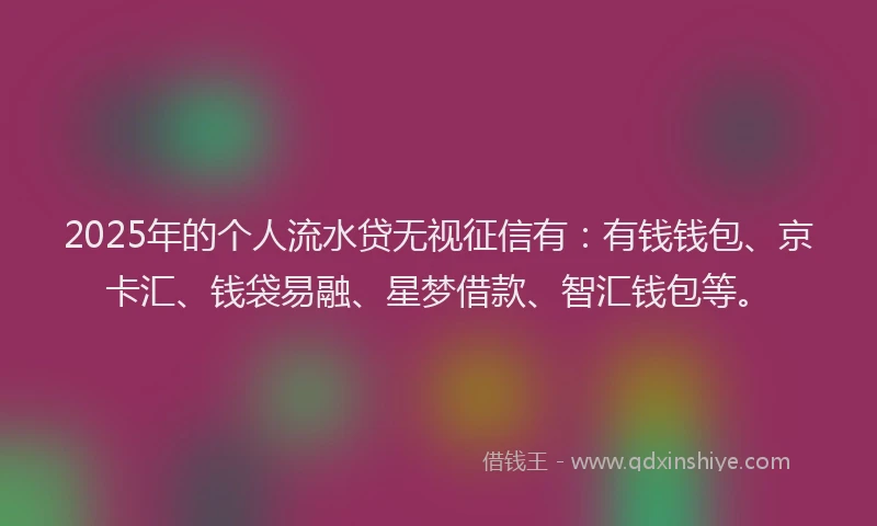 2025年的个人流水贷无视征信有：有钱钱包、京卡汇、钱袋易融、星梦借款、智汇钱包等。