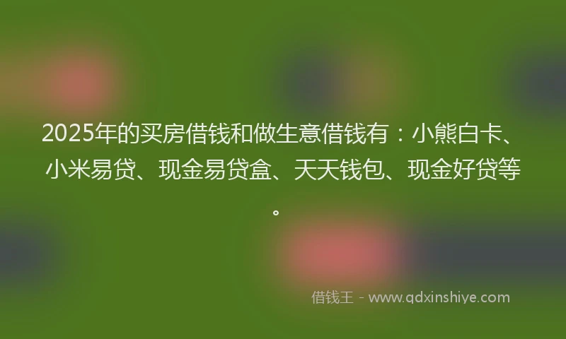 2025年的买房借钱和做生意借钱有：小熊白卡、小米易贷、现金易贷盒、天天钱包、现金好贷等。