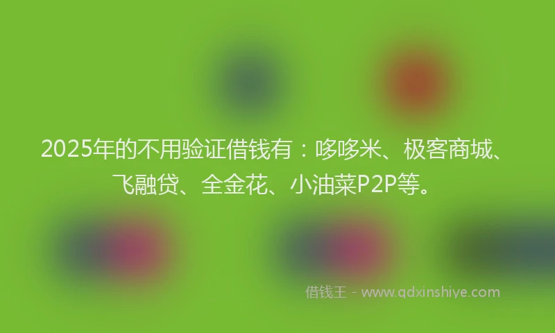 2025年的不用验证借钱有：哆哆米、极客商城、飞融贷、全金花、小油菜P2P等。