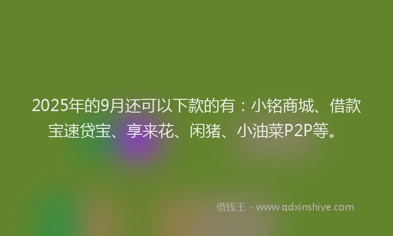 2025年的9月还可以下款的有：小铭商城、借款宝速贷宝、享来花、闲猪、小油菜P2P等。