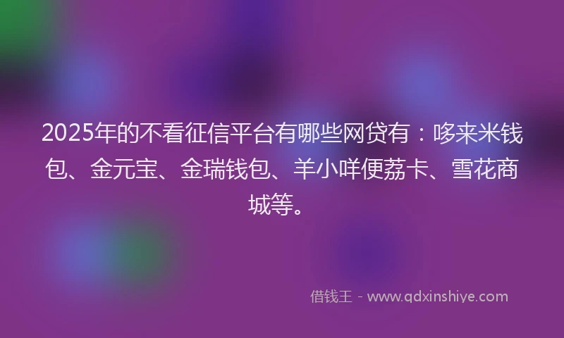 2025年的不看征信平台有哪些网贷有：哆来米钱包、金元宝、金瑞钱包、羊小咩便荔卡、雪花商城等。