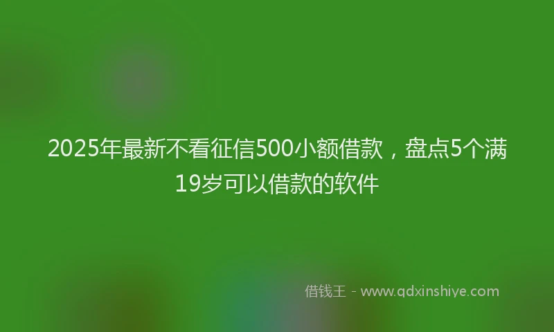 2025年最新不看征信500小额借款，盘点5个满19岁可以借款的软件