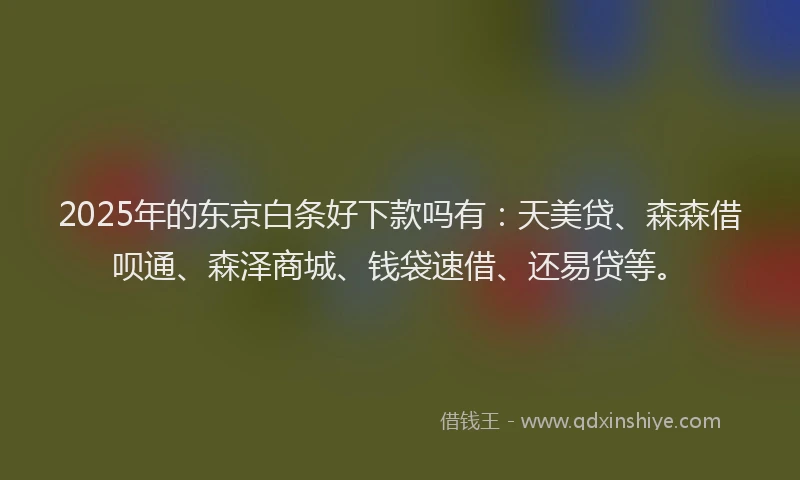 2025年的东京白条好下款吗有：天美贷、森森借呗通、森泽商城、钱袋速借、还易贷等。