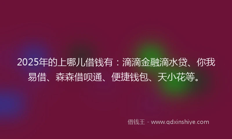 2025年的上哪儿借钱有：滴滴金融滴水贷、你我易借、森森借呗通、便捷钱包、天小花等。