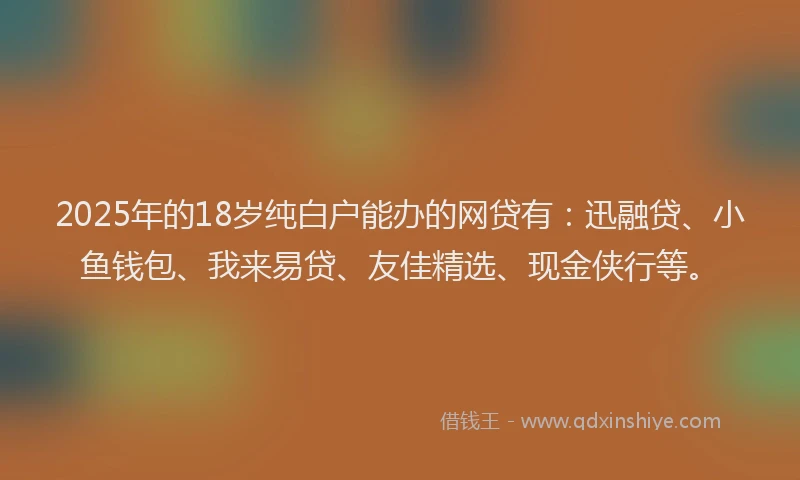 2025年的18岁纯白户能办的网贷有：迅融贷、小鱼钱包、我来易贷、友佳精选、现金侠行等。