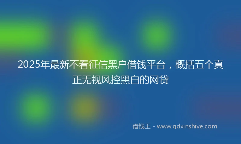 2025年最新不看征信黑户借钱平台，概括五个真正无视风控黑白的网贷