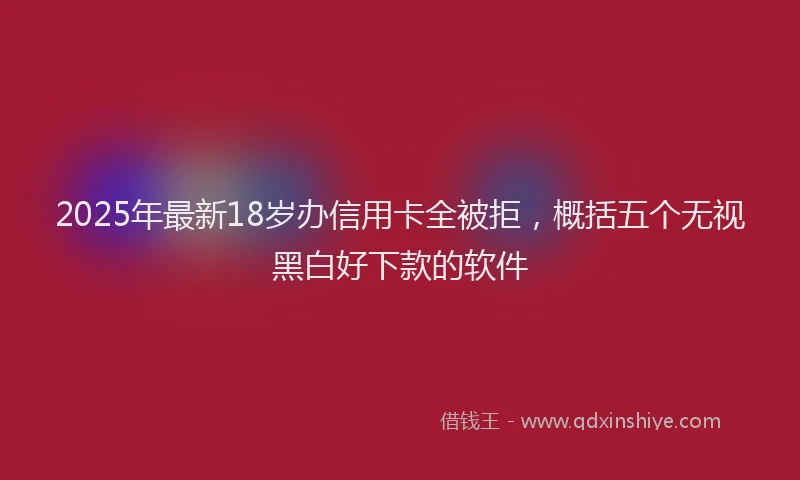 2025年最新18岁办信用卡全被拒，概括五个无视黑白好下款的软件