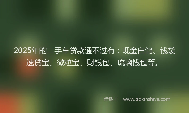 2025年的二手车贷款通不过有：现金白鸽、钱袋速贷宝、微粒宝、财钱包、琉璃钱包等。