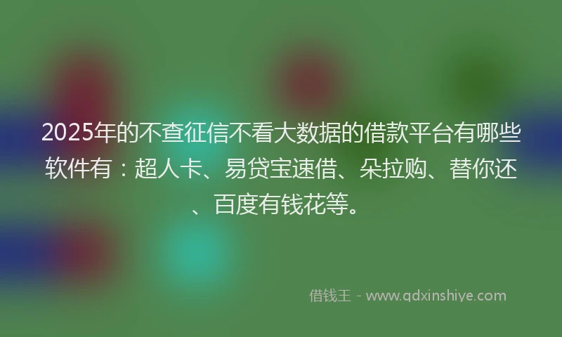 2025年的不查征信不看大数据的借款平台有哪些软件有：超人卡、易贷宝速借、朵拉购、替你还、百度有钱花等。