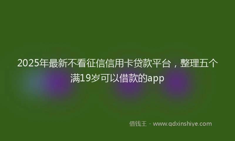 2025年最新不看征信信用卡贷款平台，整理五个满19岁可以借款的app