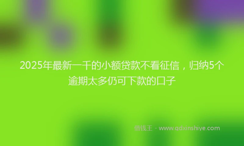 2025年最新一千的小额贷款不看征信，归纳5个逾期太多仍可下款的口子