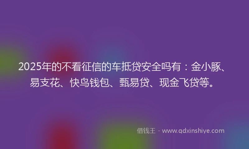 2025年的不看征信的车抵贷安全吗有：金小豚、易支花、快鸟钱包、甄易贷、现金飞贷等。