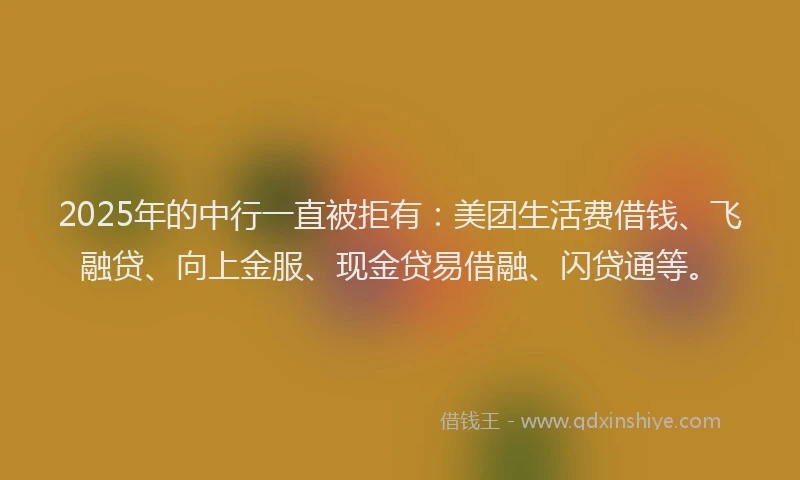2025年的中行一直被拒有：美团生活费借钱、飞融贷、向上金服、现金贷易借融、闪贷通等。