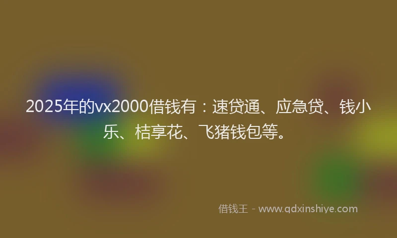 2025年的vx2000借钱有：速贷通、应急贷、钱小乐、桔享花、飞猪钱包等。