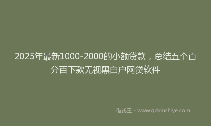 2025年最新1000-2000的小额贷款，总结五个百分百下款无视黑白户网贷软件