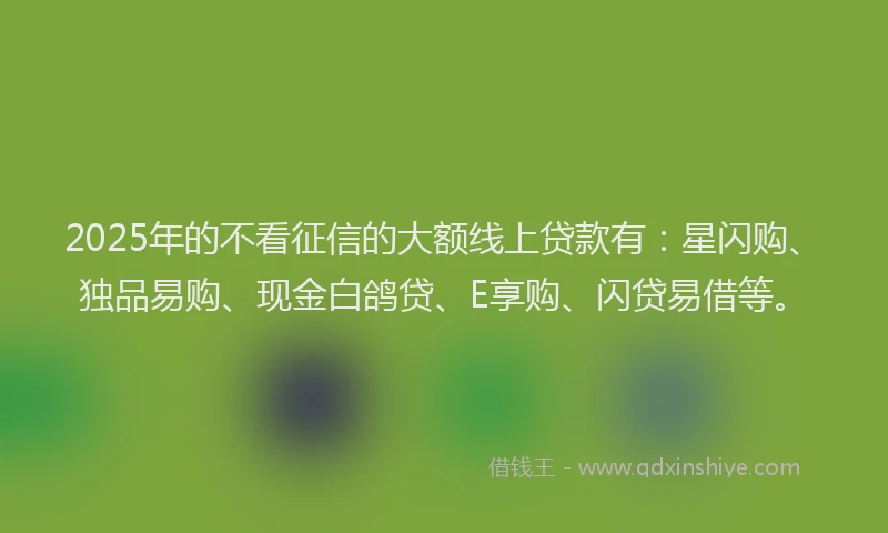 2025年的不看征信的大额线上贷款有：星闪购、独品易购、现金白鸽贷、E享购、闪贷易借等。
