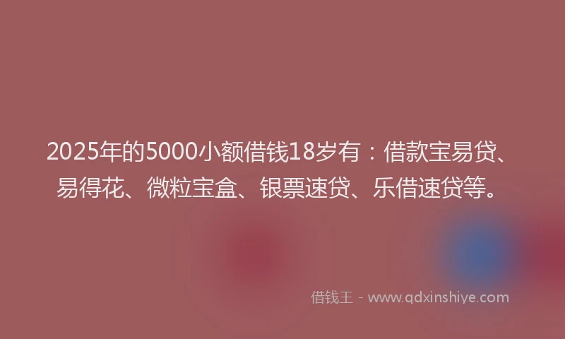 2025年的5000小额借钱18岁有：借款宝易贷、易得花、微粒宝盒、银票速贷、乐借速贷等。