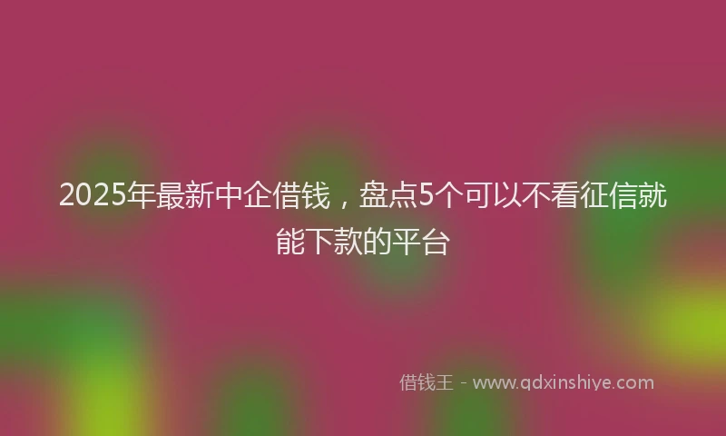 2025年最新中企借钱，盘点5个可以不看征信就能下款的平台