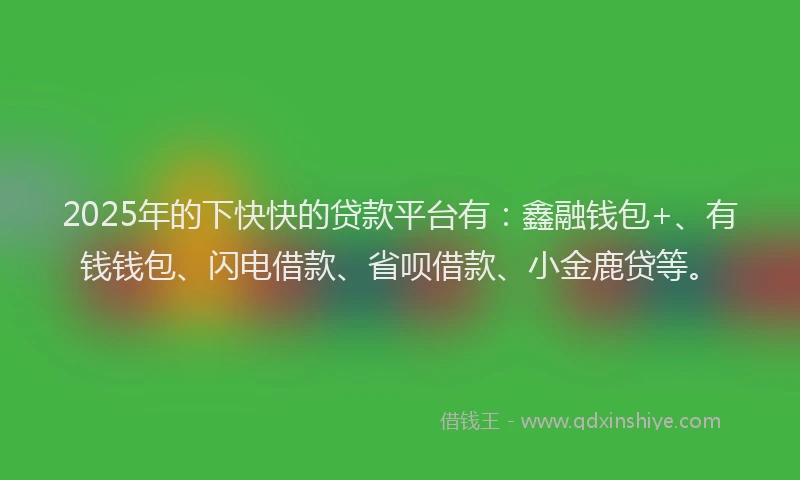 2025年的下快快的贷款平台有：鑫融钱包+、有钱钱包、闪电借款、省呗借款、小金鹿贷等。