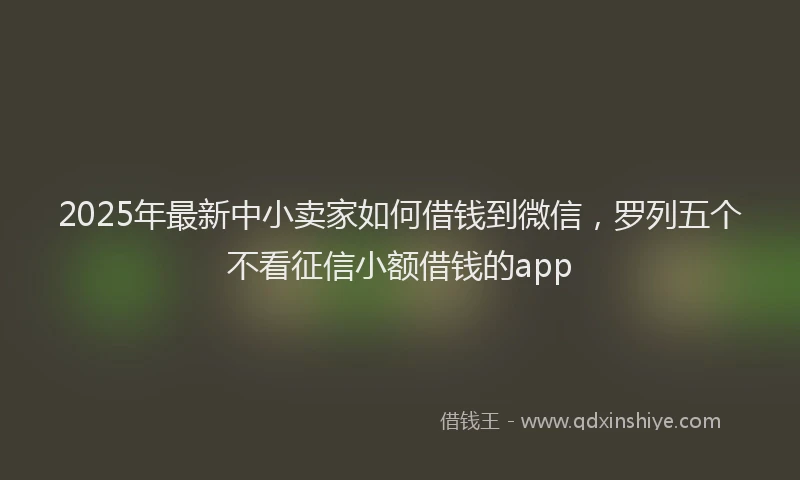 2025年最新中小卖家如何借钱到微信，罗列五个不看征信小额借钱的app