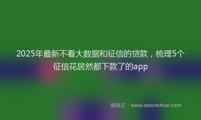 2025年最新不看大数据和征信的贷款，梳理5个征信花居然都下款了的app