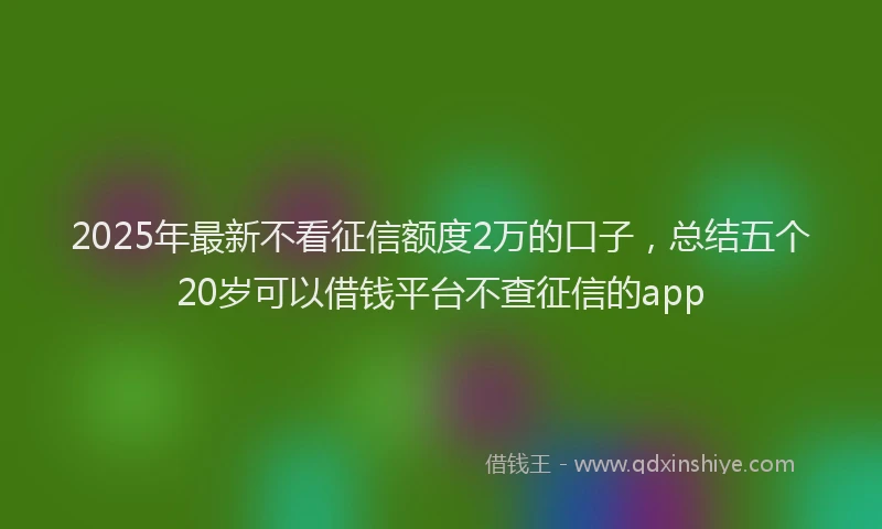 2025年最新不看征信额度2万的口子，总结五个20岁可以借钱平台不查征信的app