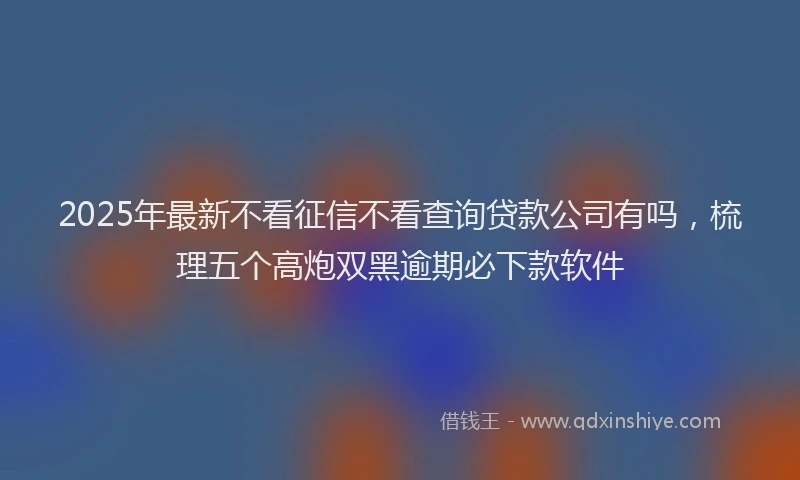 2025年最新不看征信不看查询贷款公司有吗，梳理五个高炮双黑逾期必下款软件