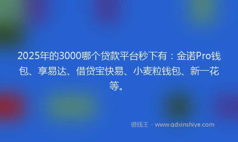 2025年的3000哪个贷款平台秒下有：金诺Pro钱包、享易达、借贷宝快易、小麦粒钱包、新一花等。