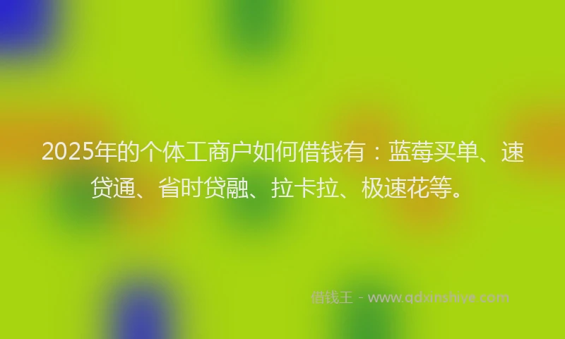 2025年的个体工商户如何借钱有：蓝莓买单、速贷通、省时贷融、拉卡拉、极速花等。