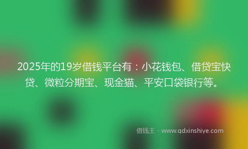 2025年的19岁借钱平台有：小花钱包、借贷宝快贷、微粒分期宝、现金猫、平安口袋银行等。