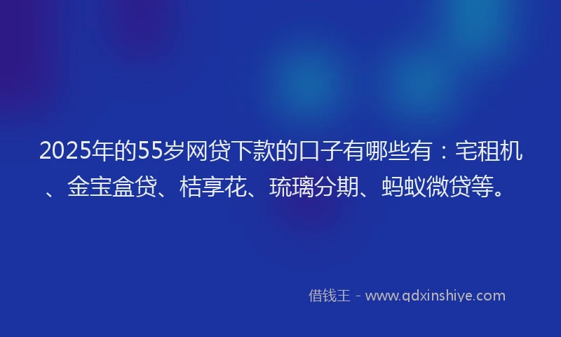2025年的55岁网贷下款的口子有哪些有：宅租机、金宝盒贷、桔享花、琉璃分期、蚂蚁微贷等。