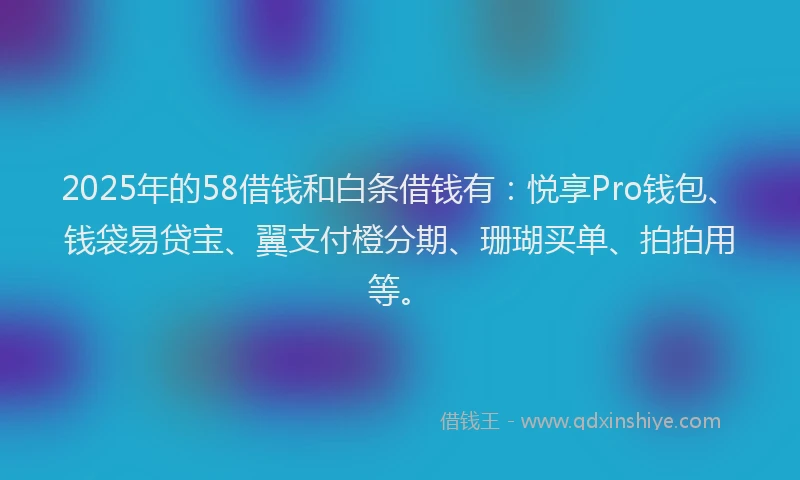 2025年的58借钱和白条借钱有：悦享Pro钱包、钱袋易贷宝、翼支付橙分期、珊瑚买单、拍拍用等。