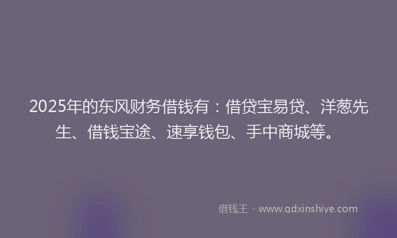 2025年的东风财务借钱有：借贷宝易贷、洋葱先生、借钱宝途、速享钱包、手中商城等。