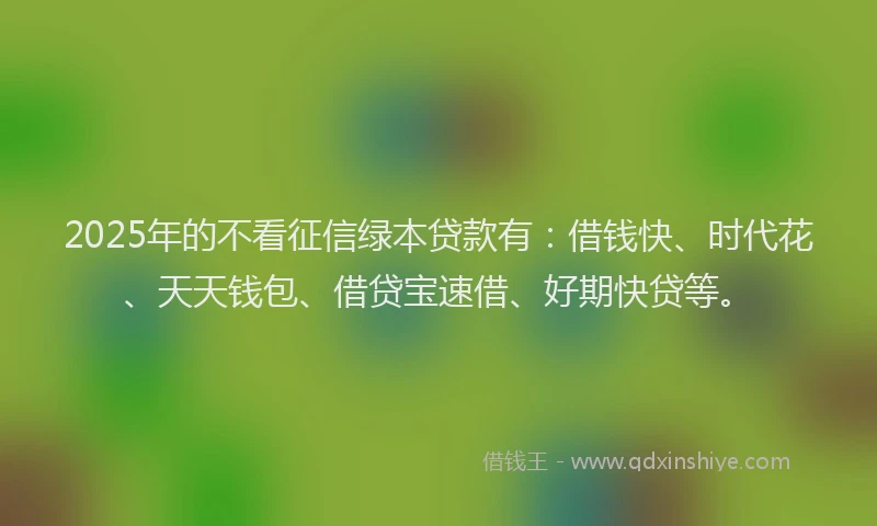 2025年的不看征信绿本贷款有：借钱快、时代花、天天钱包、借贷宝速借、好期快贷等。