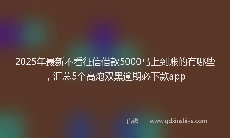 2025年最新不看征信借款5000马上到账的有哪些，汇总5个高炮双黑逾期必下款app
