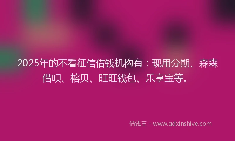2025年的不看征信借钱机构有：现用分期、森森借呗、榕贝、旺旺钱包、乐享宝等。