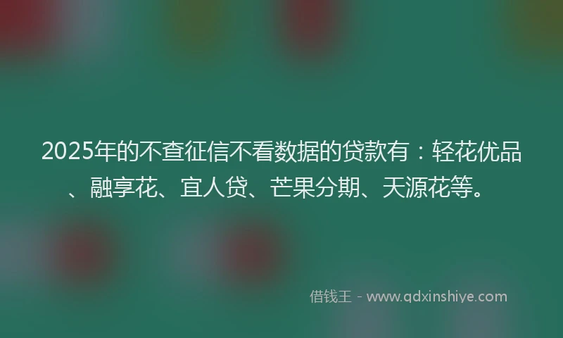 2025年的不查征信不看数据的贷款有：轻花优品、融享花、宜人贷、芒果分期、天源花等。