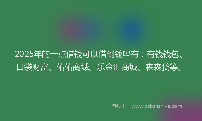 2025年的一点借钱可以借到钱吗有：有钱钱包、口袋财富、佑佑商城、乐金汇商城、森森贷等。