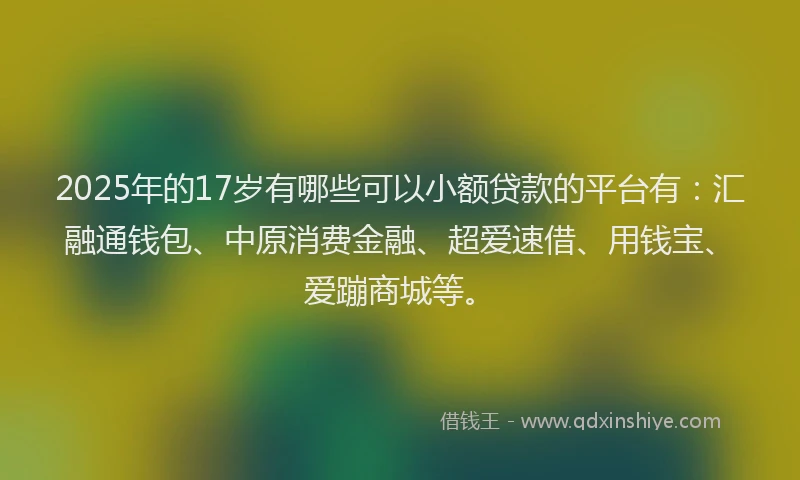 2025年的17岁有哪些可以小额贷款的平台有：汇融通钱包、中原消费金融、超爱速借、用钱宝、爱蹦商城等。